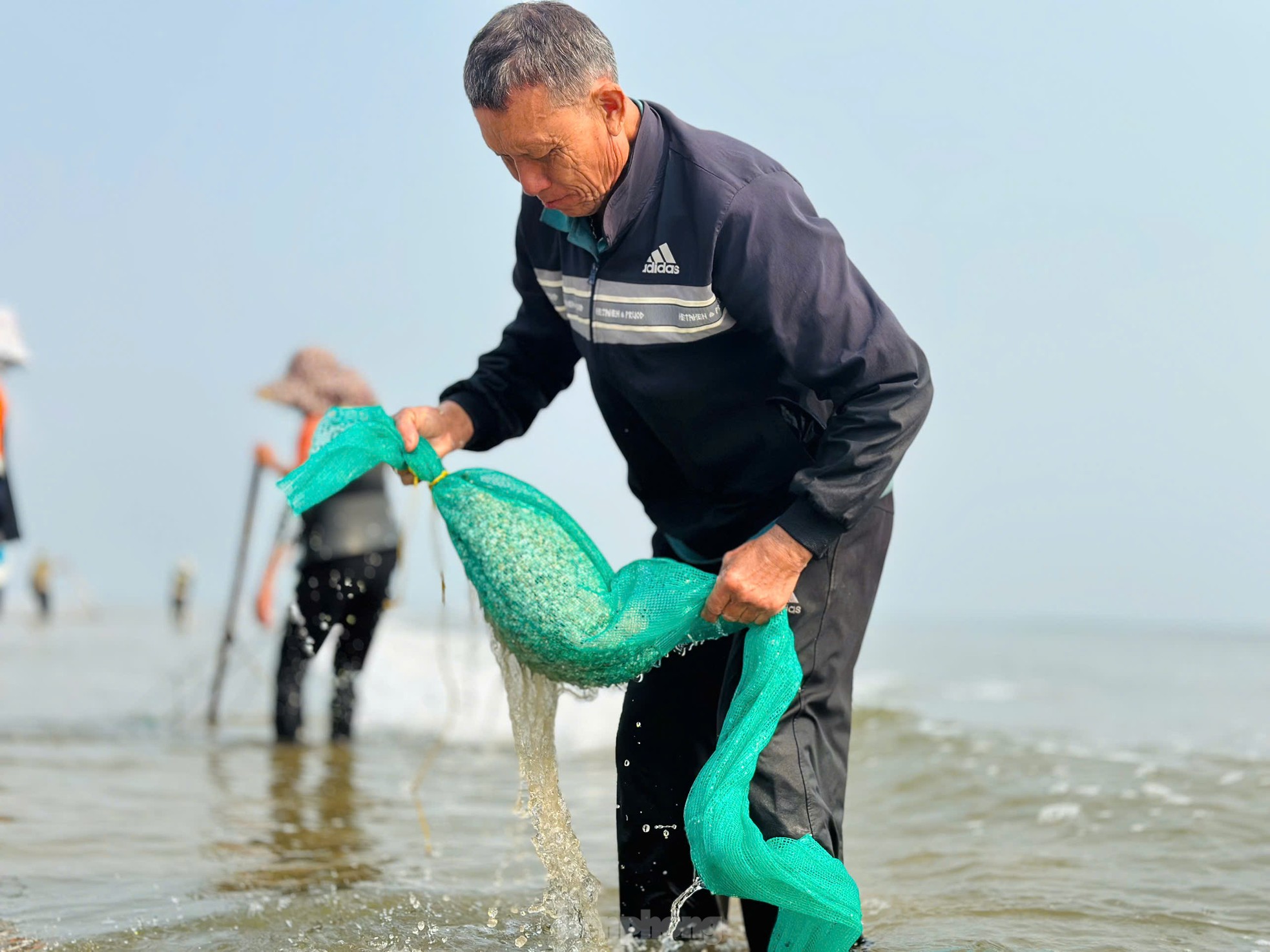 'Lộc biển' dạt trắng bờ biển, ngư dân cào ốc ngày kiếm tiền triệu ảnh 5