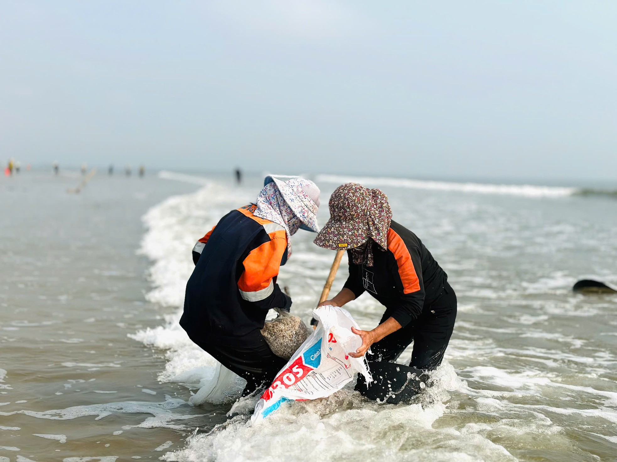 'Lộc biển' dạt trắng bờ biển, ngư dân cào ốc ngày kiếm tiền triệu ảnh 12