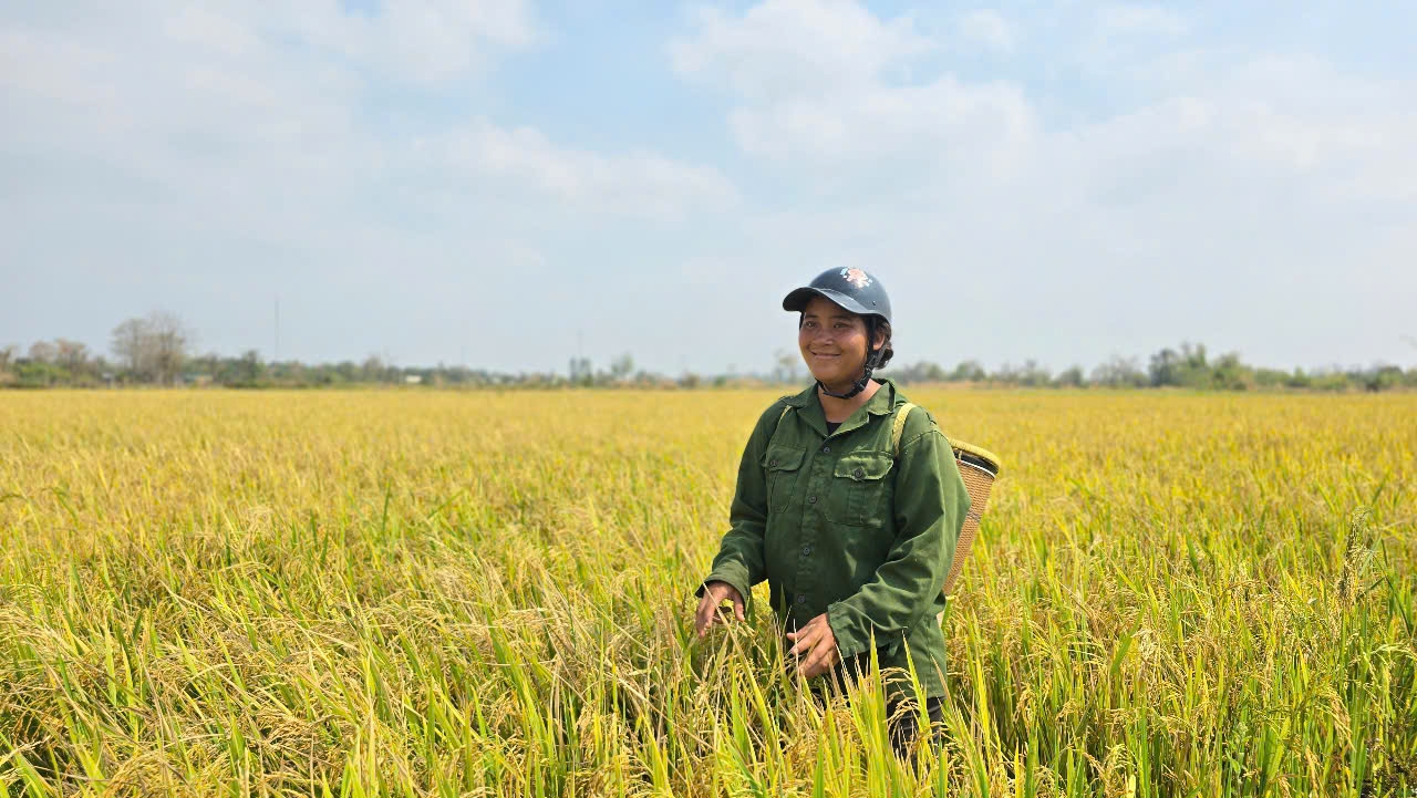 Nguồn nước dồi dào từ công trình thuỷ lợi Ia Mơr sẽ giúp người dân phát triển mô hình kinh tế đa canh, góp phần xóa đói giảm nghèo tại địa phương Nguồn nước dồi dào từ công trình thuỷ lợi Ia Mơr sẽ giúp người dân phát triển mô hình kinh tế đa canh, góp phần xóa đói giảm nghèo miền biên viễn Ia Mơ