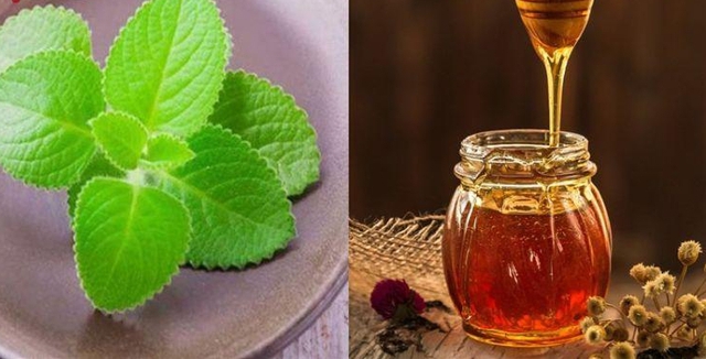 Bí quyết trị ho, tiêu đờm hiệu quả bằng siro húng chanh- Ảnh 5. Bí quyết trị ho, tiêu đờm hiệu quả bằng siro húng chanh- Ảnh 5.