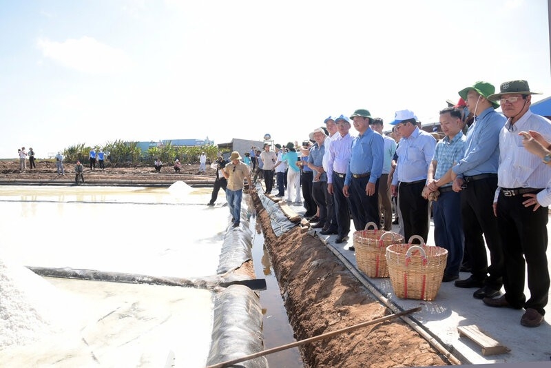Muốn sản phẩm muối lớn mạnh, nghề muối Bạc Liêu không có cách nào khác ngoài sản xuất theo mô hình kinh tế HTX Để nghề muối lớn mạnh bền vững cần hướng đến xây dựng các mô hình kinh tế HTX