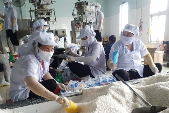 Tỉnh Bạc Liêu định hướng sản xuất muối theo cách thức tăng dần chất lượng sản phẩm Tỉnh Bạc Liêu định hướng sản xuất muối theo cách thức tăng dần chất lượng sản phẩm