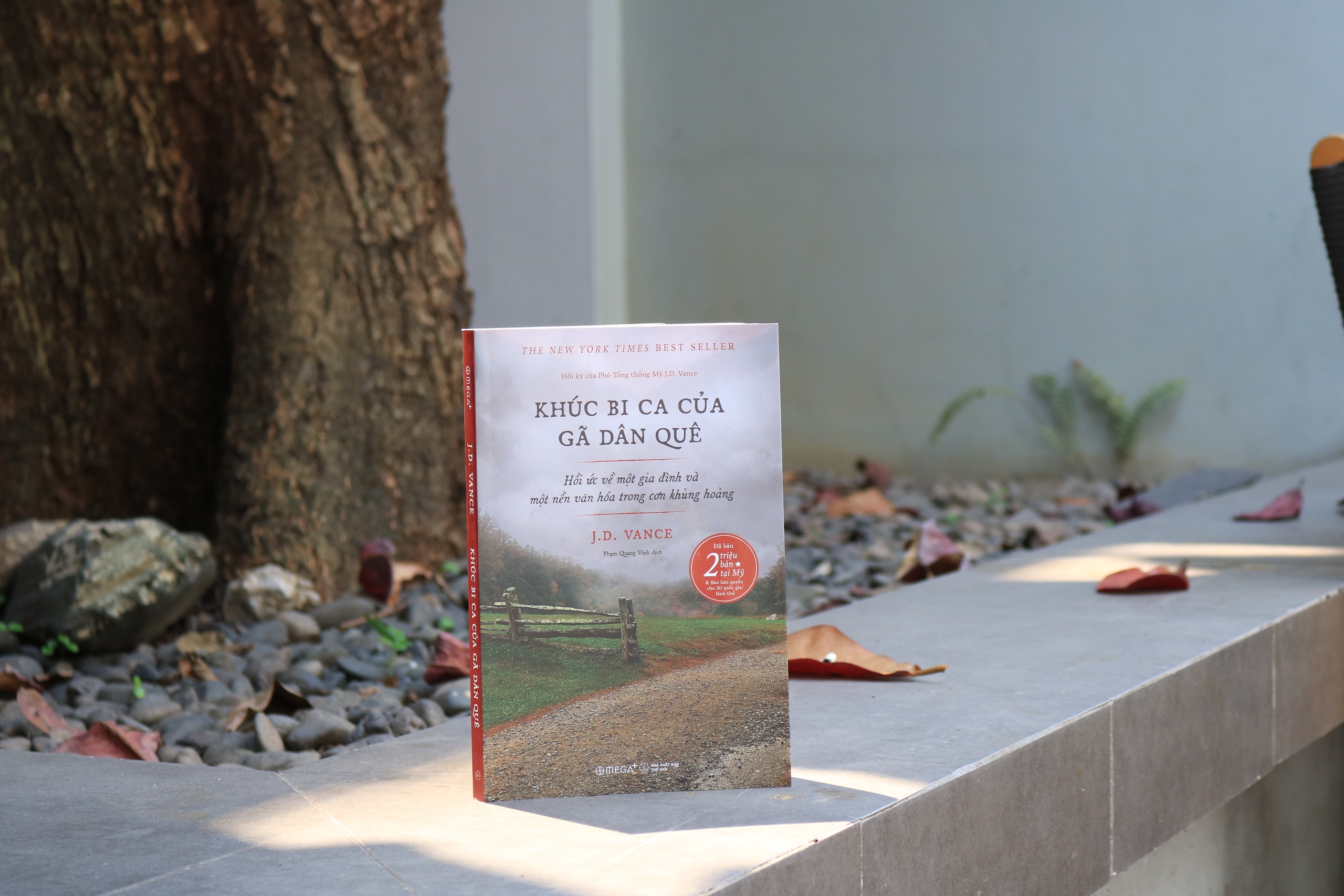 Hồi ký best-seller 'Khúc bi ca của gã dân quê' của Phó tổng thống Mỹ J.D.Vance - Ảnh 2.