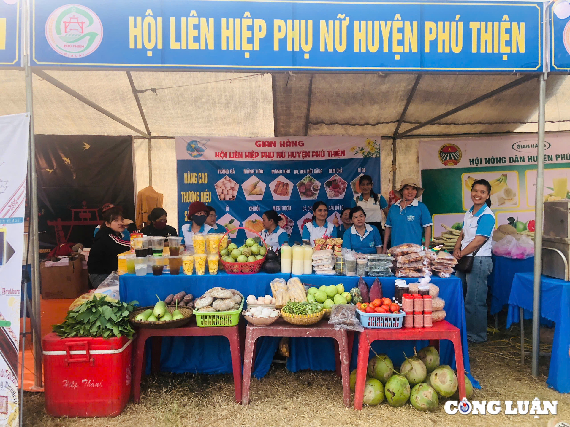 gia lai doc dao le cung cau mua tren dinh nui than chu tao yang hinh 11