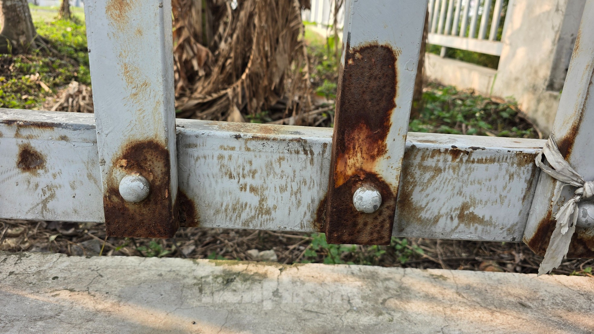 Trạm xử lý nước thải 'đắp chiếu' 8 năm chuẩn bị bàn giao, vận hành ở Hà Nội ảnh 7