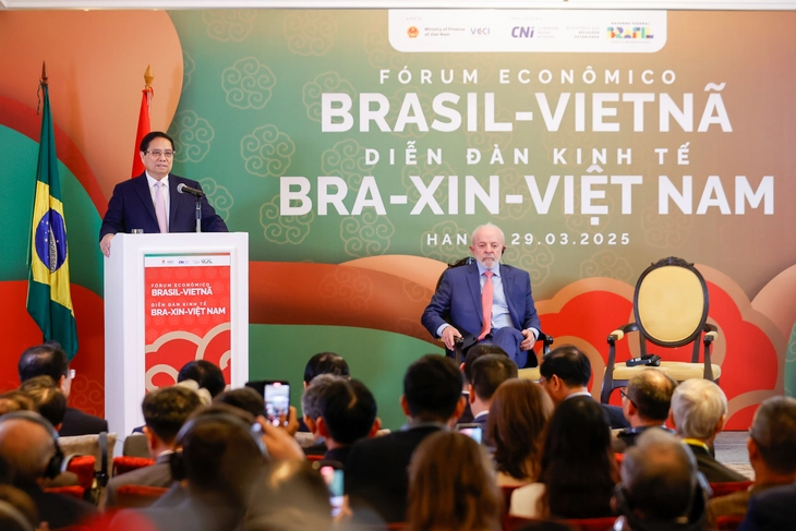 Brazil - Ảnh 3.