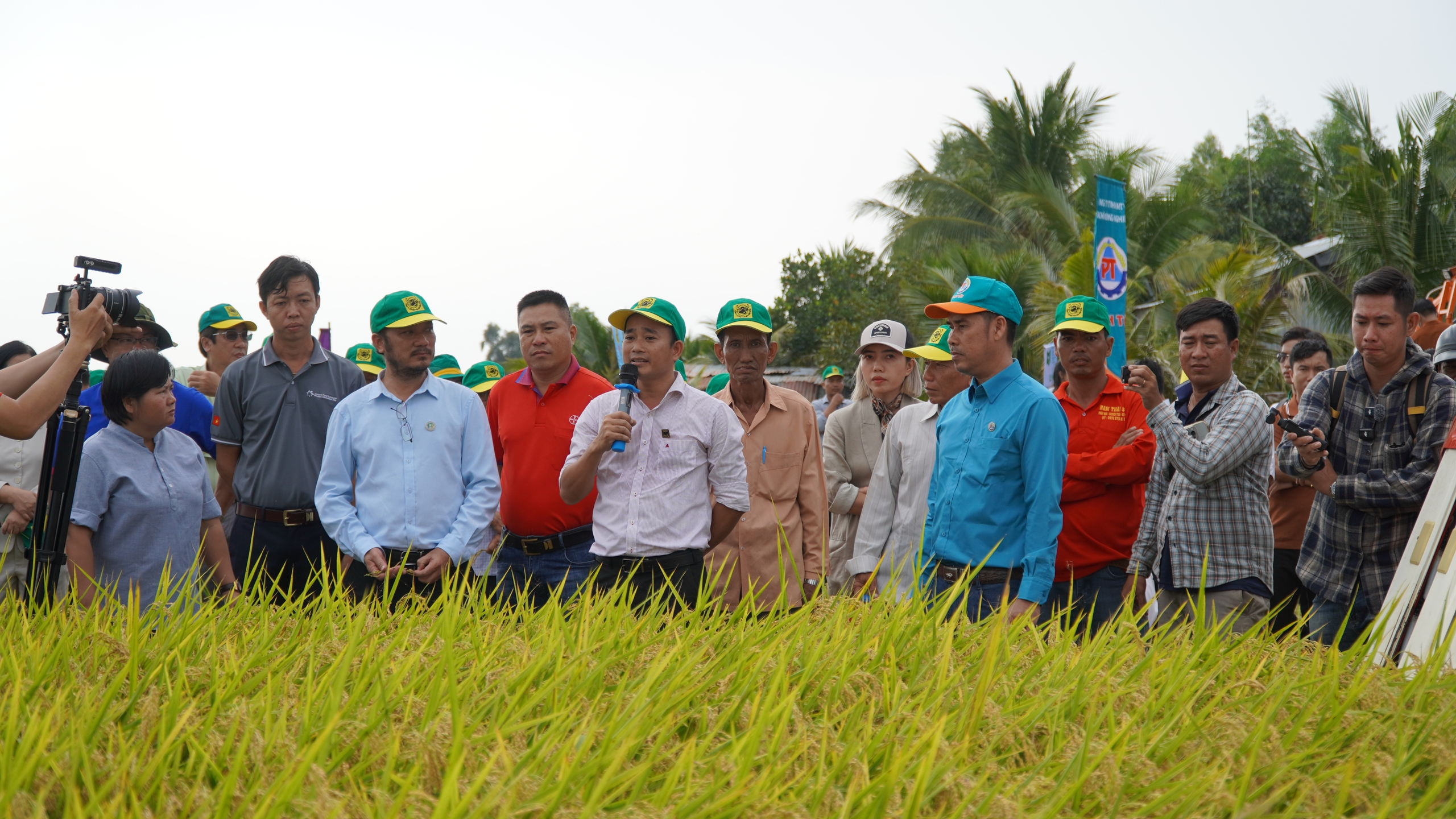 Bàn giải pháp thúc đẩy canh tác lúa phát thải thấp gắn với tăng trưởng xanh tại vùng ĐBSCL - Ảnh 4.