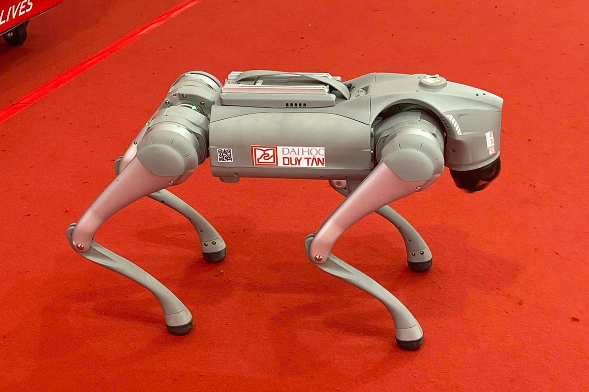 Chó robot 'vờn' chó nghiệp vụ gây sốt ở Đà Nẵng ảnh 4