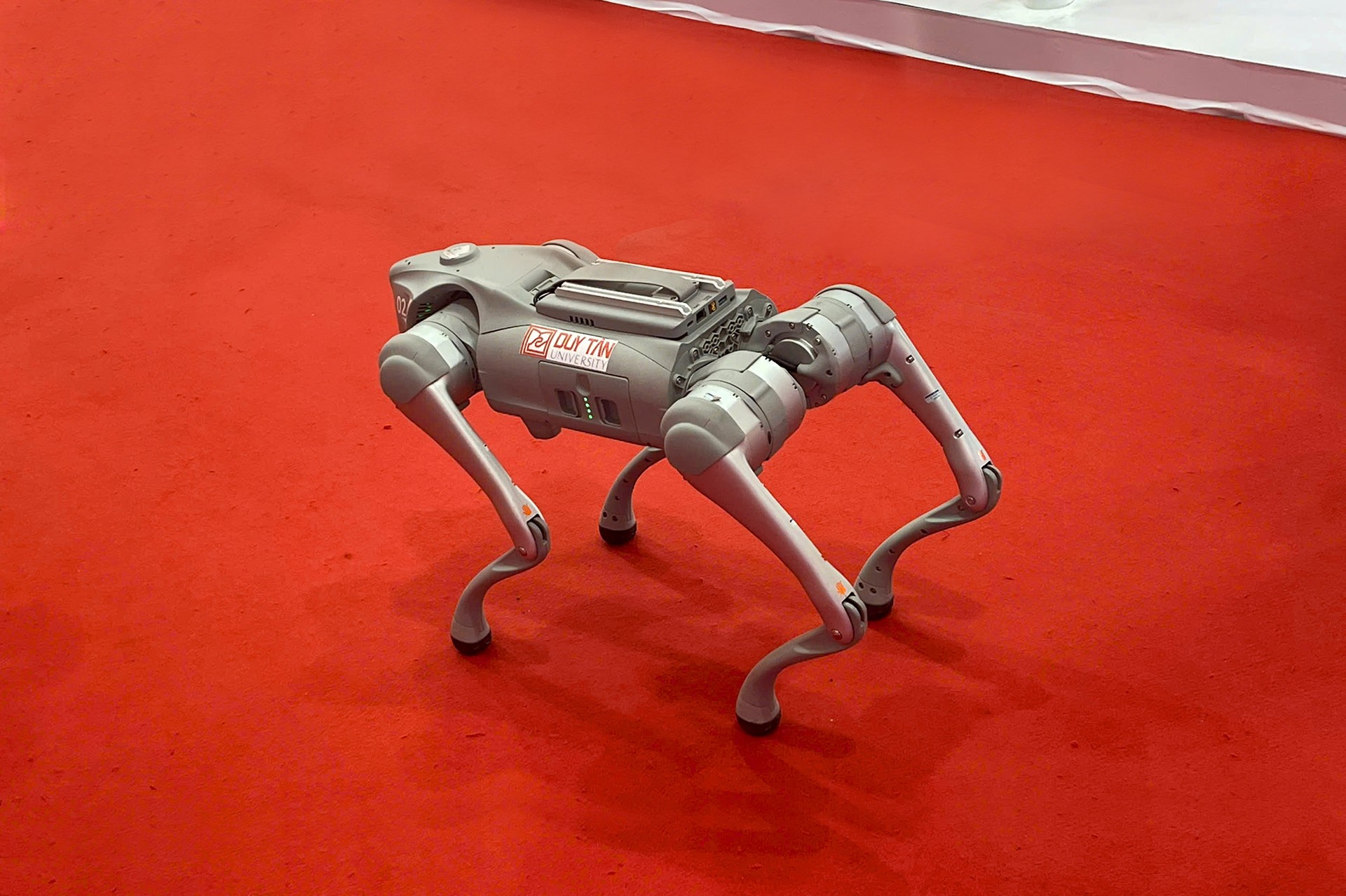 Chó robot 'vờn' chó nghiệp vụ gây sốt ở Đà Nẵng ảnh 6