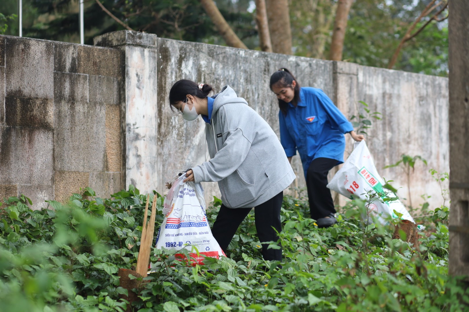 Hàng trăm thanh niên chung tay dọn rác bán đảo Sơn Trà ảnh 6