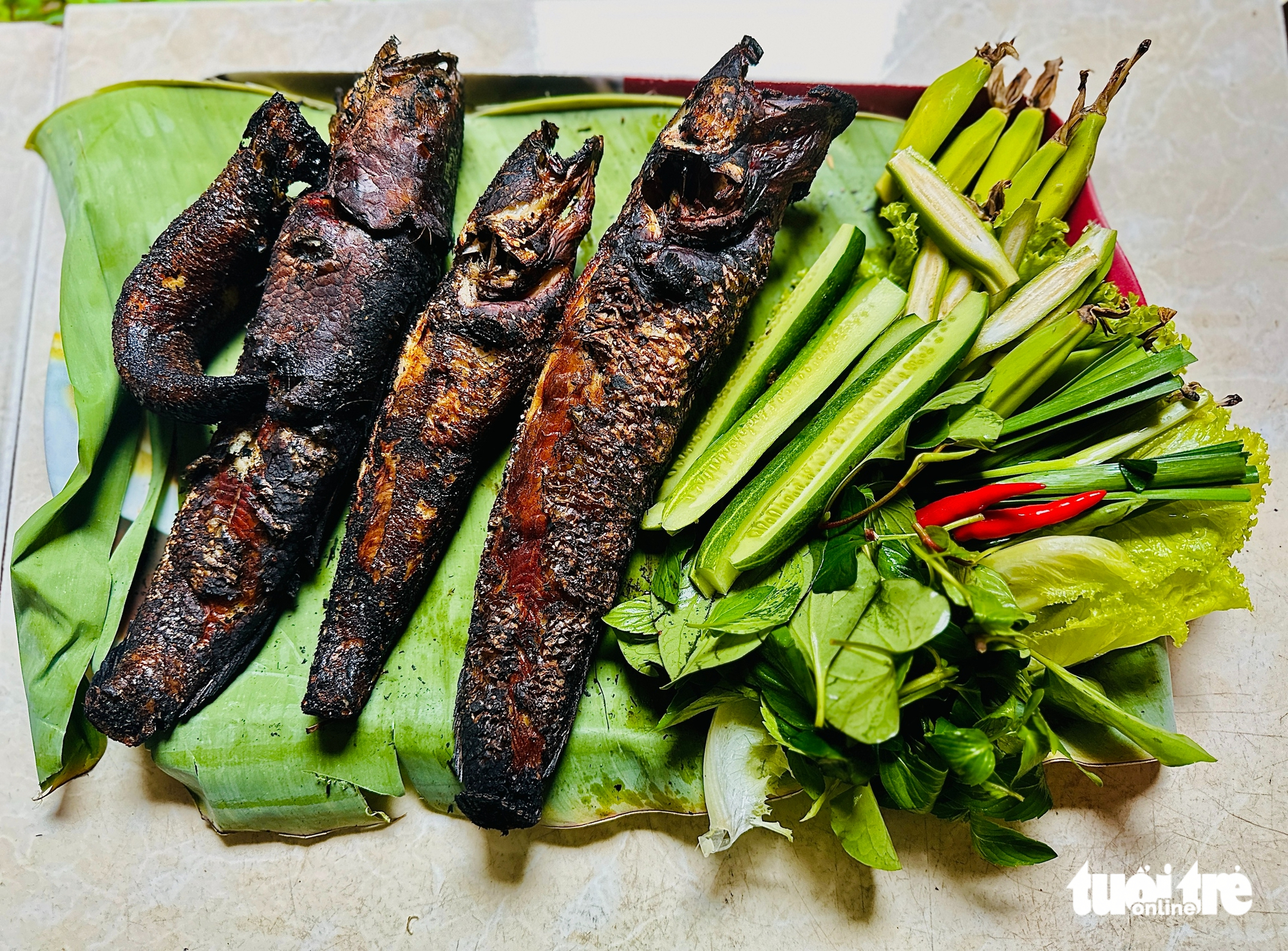 cá lóc đồng - Ảnh 4.