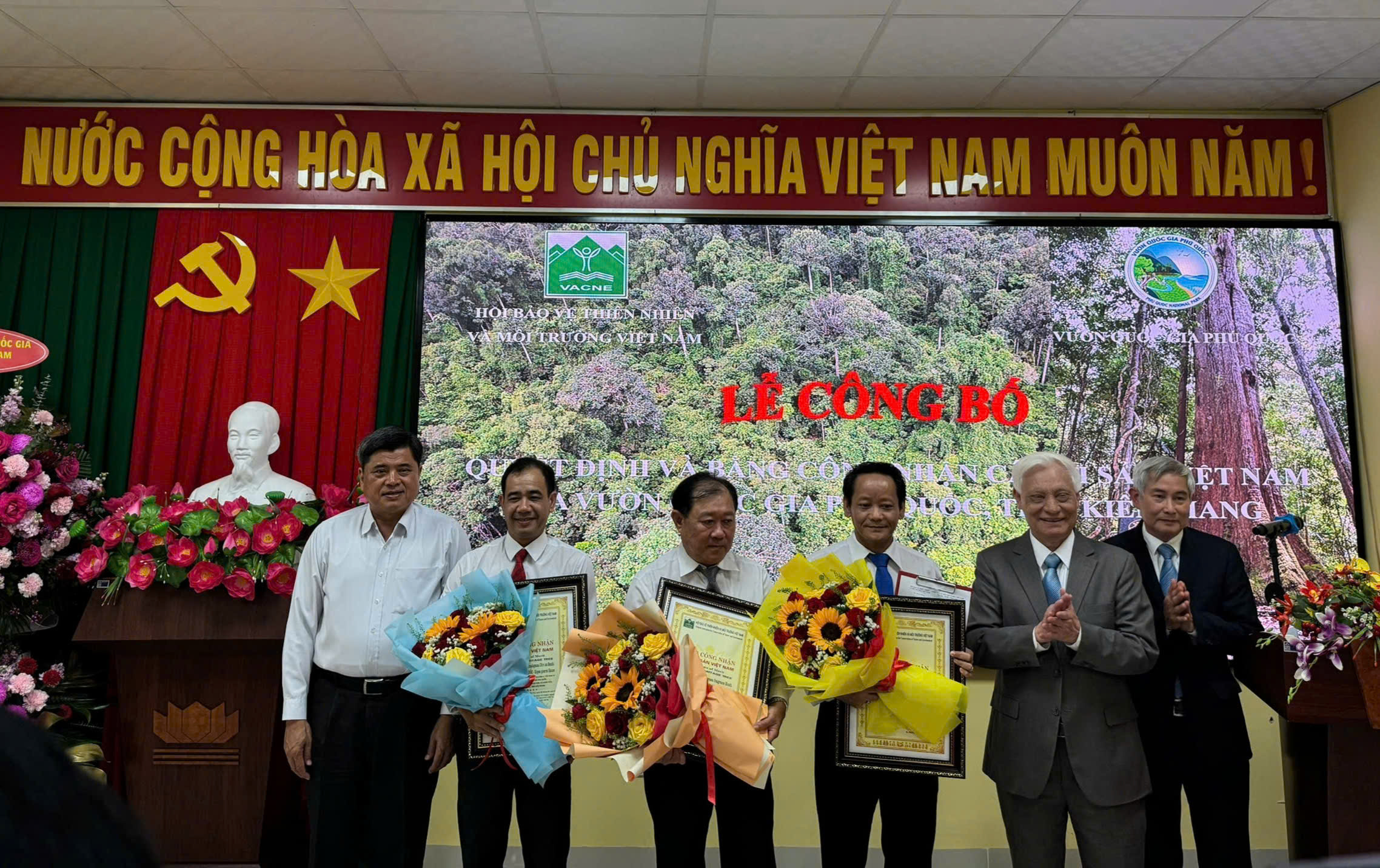 6 cây cổ thụ ở Phú Quốc được công nhận là cây di sản Việt Nam- Ảnh 1. 6 cây cổ thụ ở Phú Quốc được công nhận là cây di sản Việt Nam- Ảnh 1.