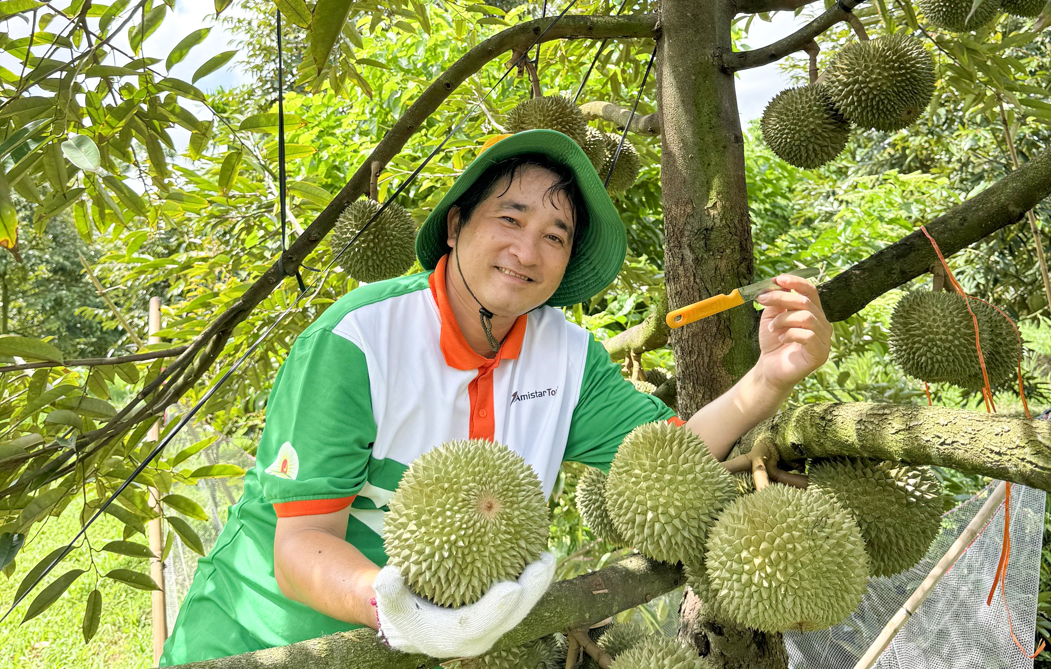 6 trung tâm xét nghiệm chất vàng O trong sầu riêng mới nhất - Ảnh 1.