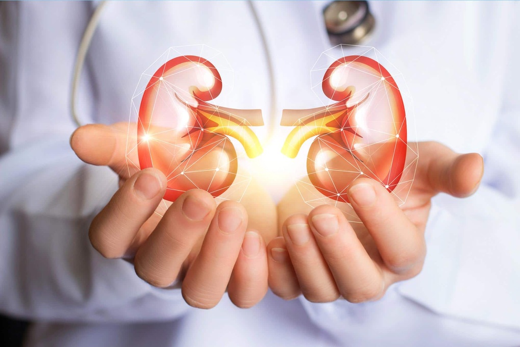7 cách tự nhiên giúp thanh lọc thận - 1 7 cách tự nhiên giúp thanh lọc thận - 1