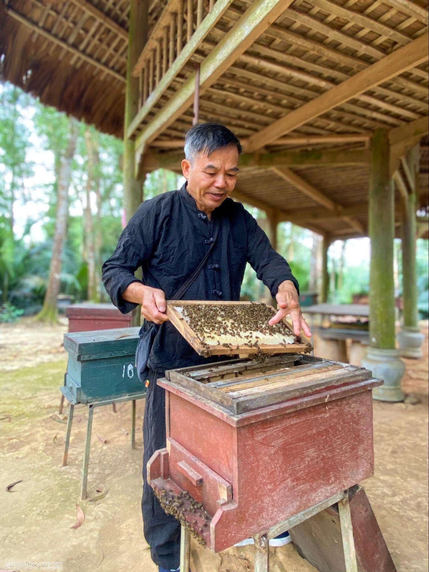 Bản làng 'cổ tích' giữa thủ đô gió ngàn