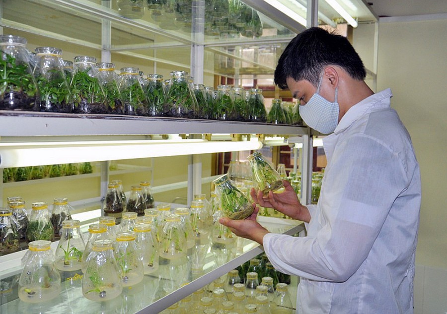 Bộ Nông nghiệp và Môi trường - Ảnh 1.