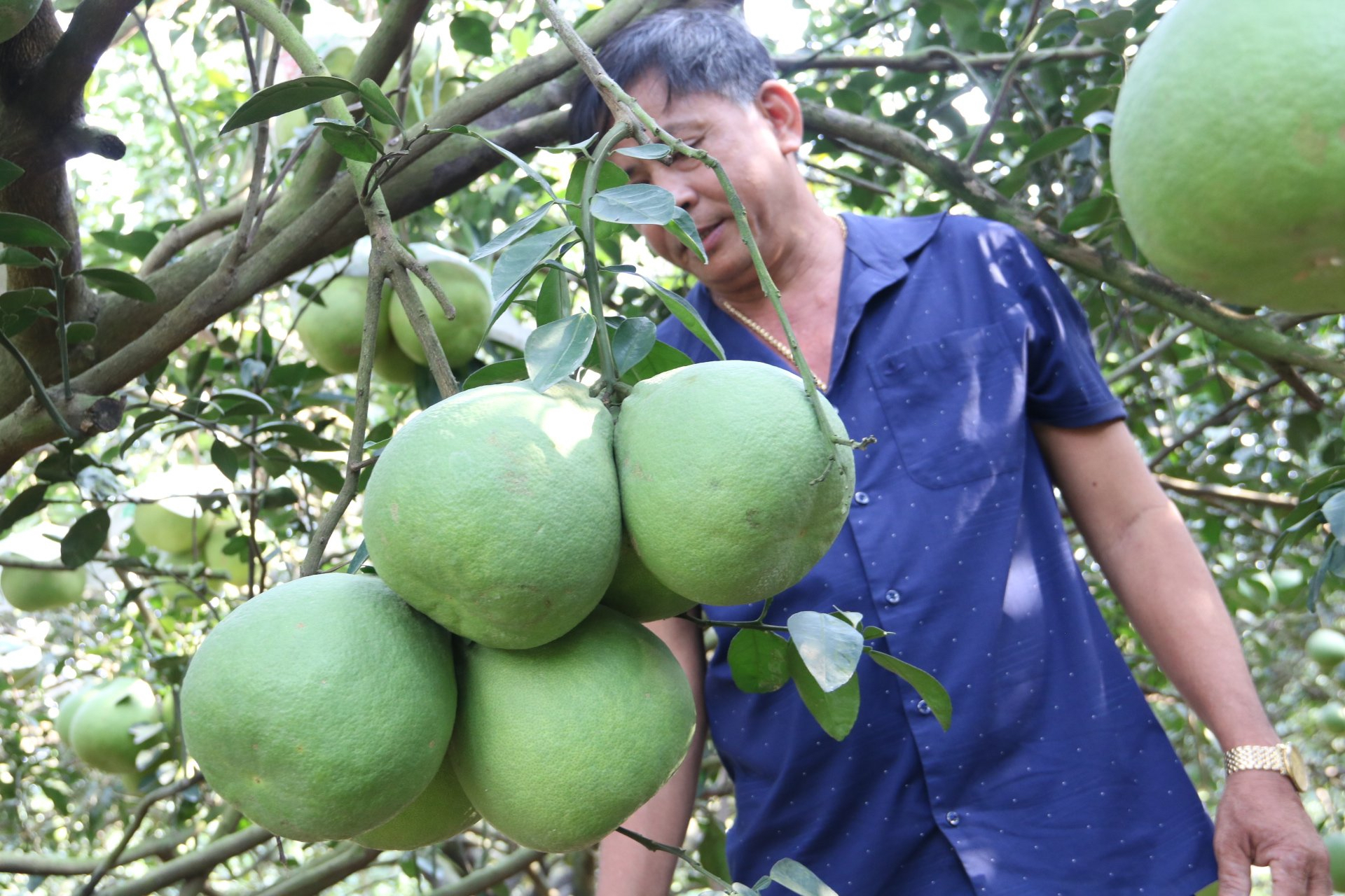 Trao cho nông dân một “cần câu” bền vững. - Ảnh 2.