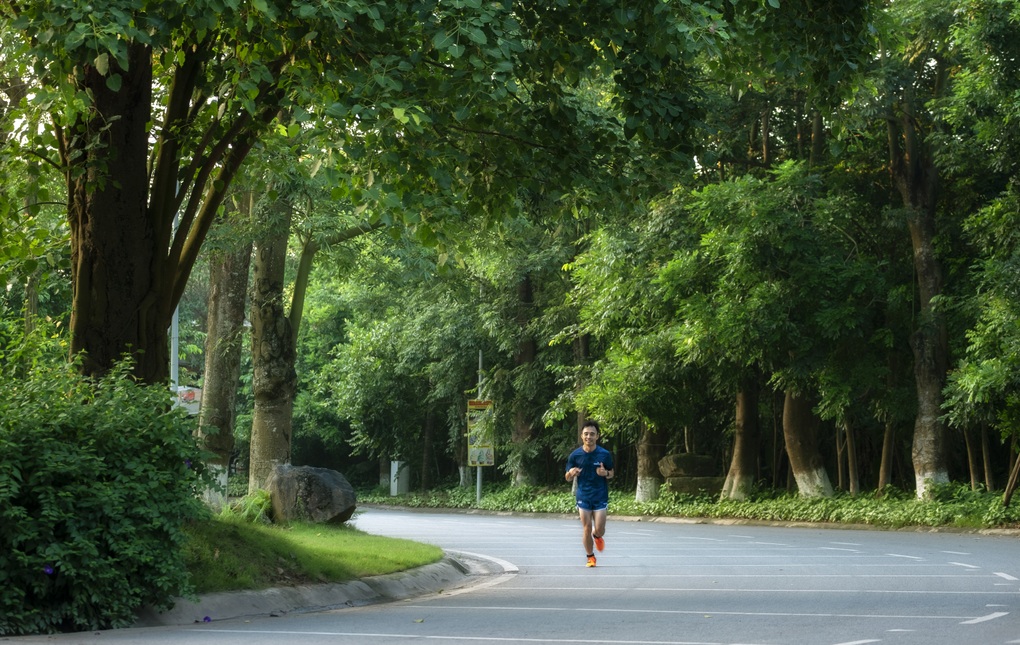 Ecopark và hành trình kiến tạo rừng retreat tiên phong tại Việt Nam - 2 Ecopark và hành trình kiến tạo rừng retreat tiên phong tại Việt Nam - 2