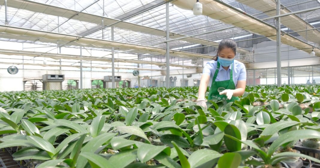 Hà Nội sẽ có Trung tâm nông nghiệp ứng dụng công nghệ cao