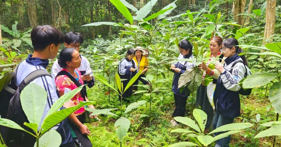 Học sinh ứng dụng công nghệ khai thác "kho vàng" dưới tán rừng