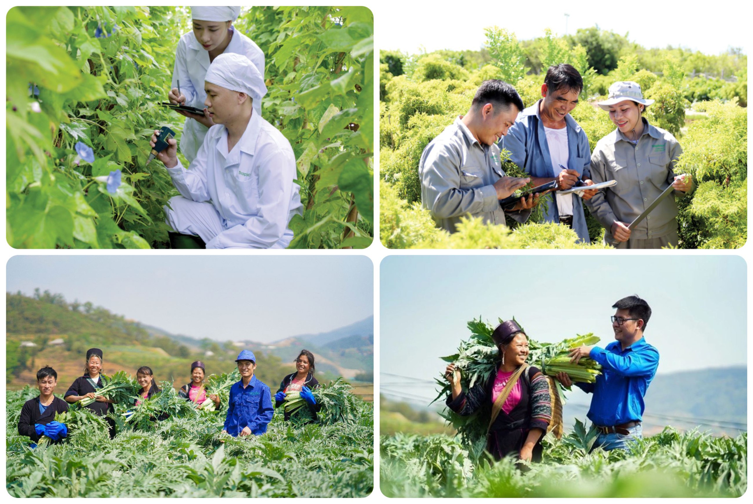 Phát triển bền vững: Hướng đi tất yếu của doanh nghiệp tư nhân- Ảnh 1. Phát triển bền vững: Hướng đi tất yếu của doanh nghiệp tư nhân- Ảnh 1.