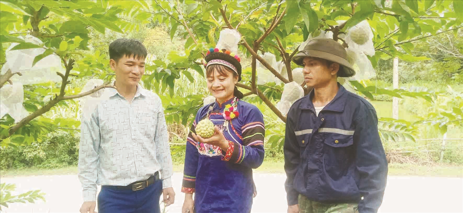 Chị Lùng Thị Thuỷ giới thiệu sản phẩm nông sản na dai. Chị Lùng Thị Thuỷ giới thiệu sản phẩm nông sản na dai.