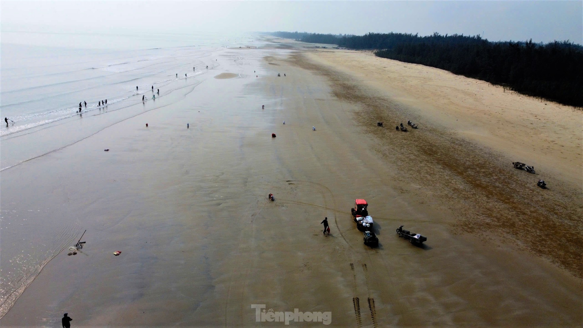 'Lộc biển' dạt trắng bờ biển, ngư dân cào ốc ngày kiếm tiền triệu ảnh 1