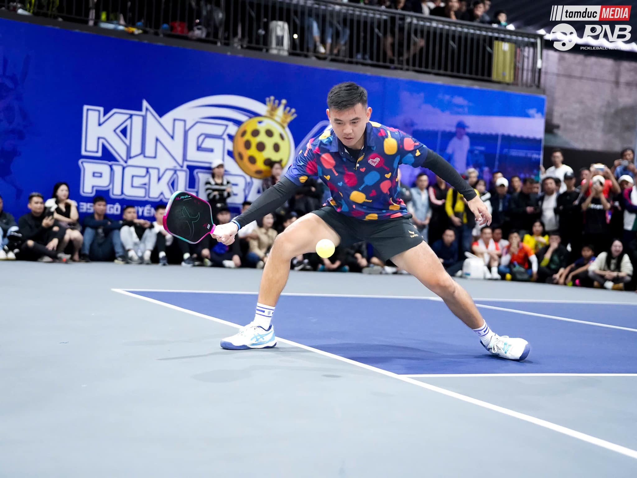 Lý Hoàng Nam cùng dàn sao quần vợt Việt Nam tranh tài giải pickleball quốc gia 2025- Ảnh 1.