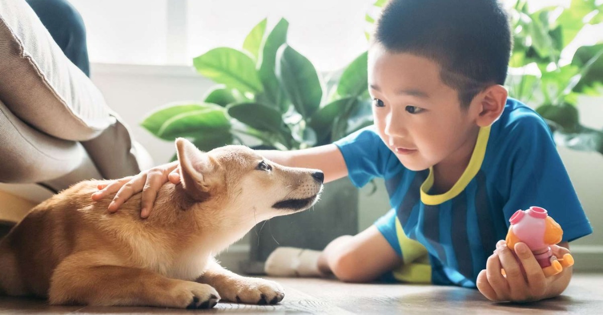 Một cách đơn giản để tăng EQ cho con mà bố mẹ nên biết - Ảnh 1. Một cách đơn giản để tăng EQ cho con mà bố mẹ nên biết - Ảnh 1.