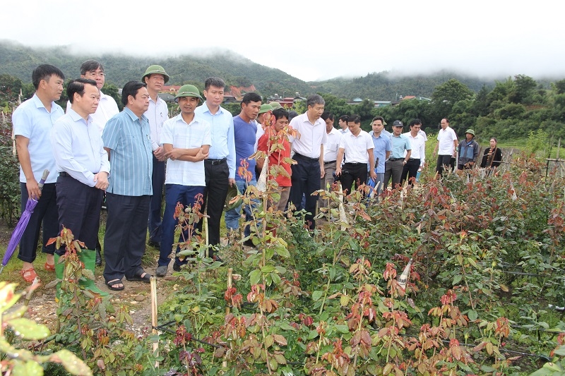 Lãnh đạo Bộ Nông nghiệp và Phát triển nông thôn (nay là Bộ Nông nghiệp và Môi trường) cùng lãnh đạo tỉnh Yên Bái thăm quan các mô hình phát triển kinh tế tại huyện Mù Cang Chải (Ảnh TL)