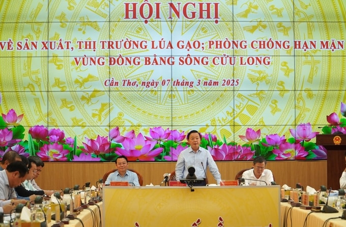 pho-thu-tuong-tran-hong-ha-nang-chat-luong-tinh-chuyen-nghiep-trong-xuat-khau-gao-181818_540.jpg Phó Thủ tướng Chính phủ Trần Hồng Hà chủ trì Hội nghị về sản xuất, tiêu thụ lúa gạo và tình hình hạn hán, xâm nhập mặn vùng ĐBSCL đầu năm 2025. Ảnh: Kim Anh.