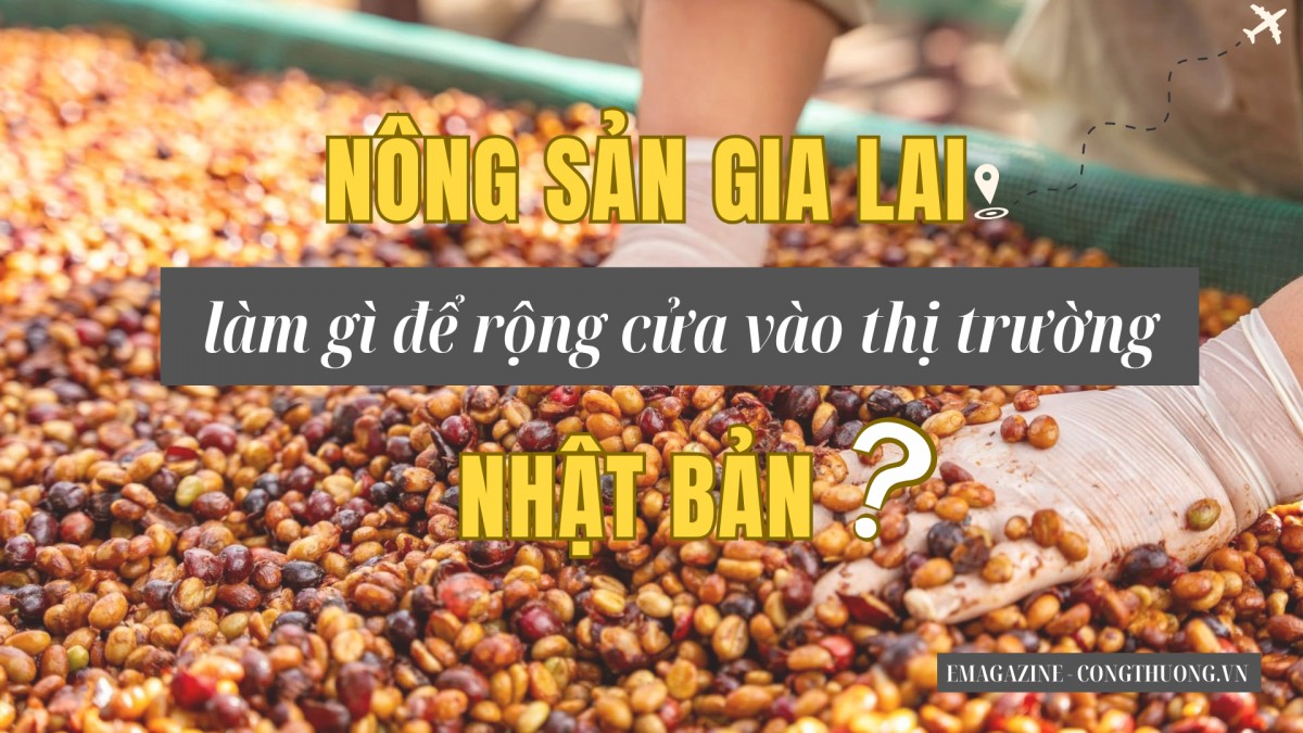 Nông sản Gia Lai làm gì để vào thị trường Nhật Bản?