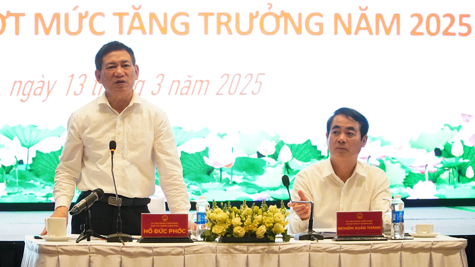 Phó Thủ tướng Chính phủ Hồ Đức Phớc phát biểu chỉ đạo. Ảnh: Trung Nhân