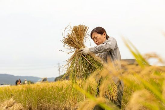 Phụ nữ đóng góp tích cực vào việc cải thiện an ninh lương thực trong cộng đồng. (Ảnh: iStock)