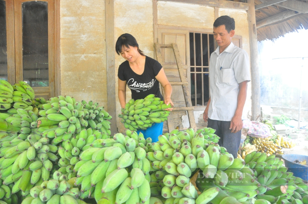 Sau 2 lần sáp nhập, tách ra, tỉnh Tuyên Quang thay đổi tên như thế nào, thu nhập của người dân đạt bao nhiêu? - Ảnh 1.