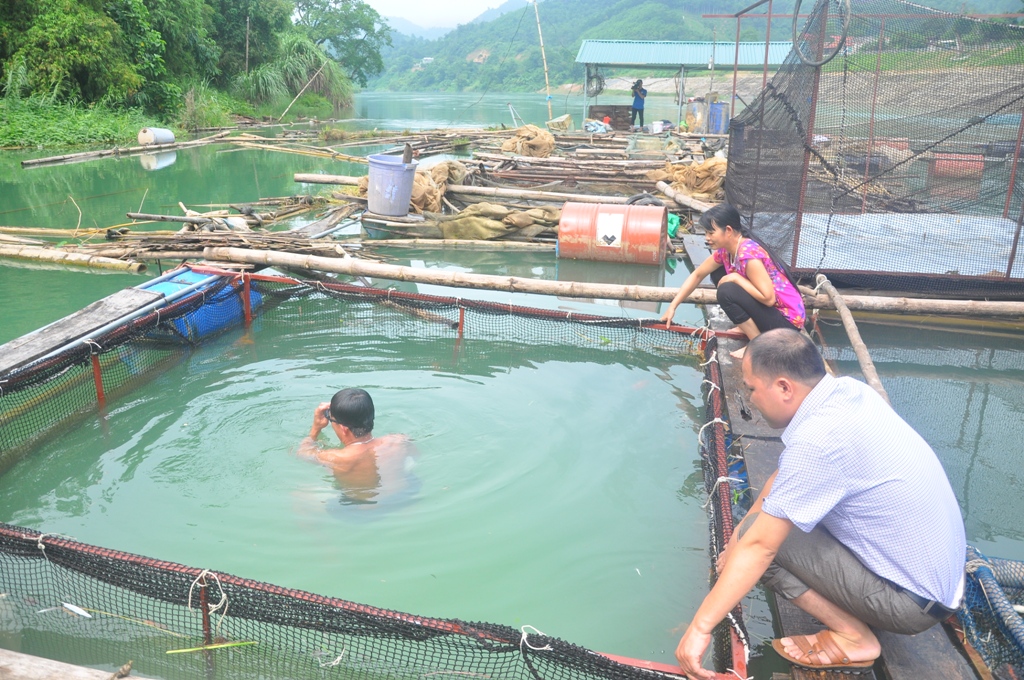 Sau 2 lần sáp nhập, tách ra, tỉnh Tuyên Quang thay đổi tên như thế nào, thu nhập của người dân đạt bao nhiêu? - Ảnh 2.