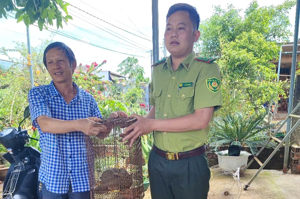 Phát hiện con động vật hoang dã bò từ vườn rau vào nhà, lão nông bắt nộp ngành chức năng - Ảnh 1.