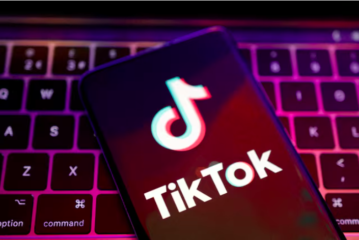 TikTok bị điều tra về các hoạt động dữ liệu cá nhân trẻ em- Ảnh 1.