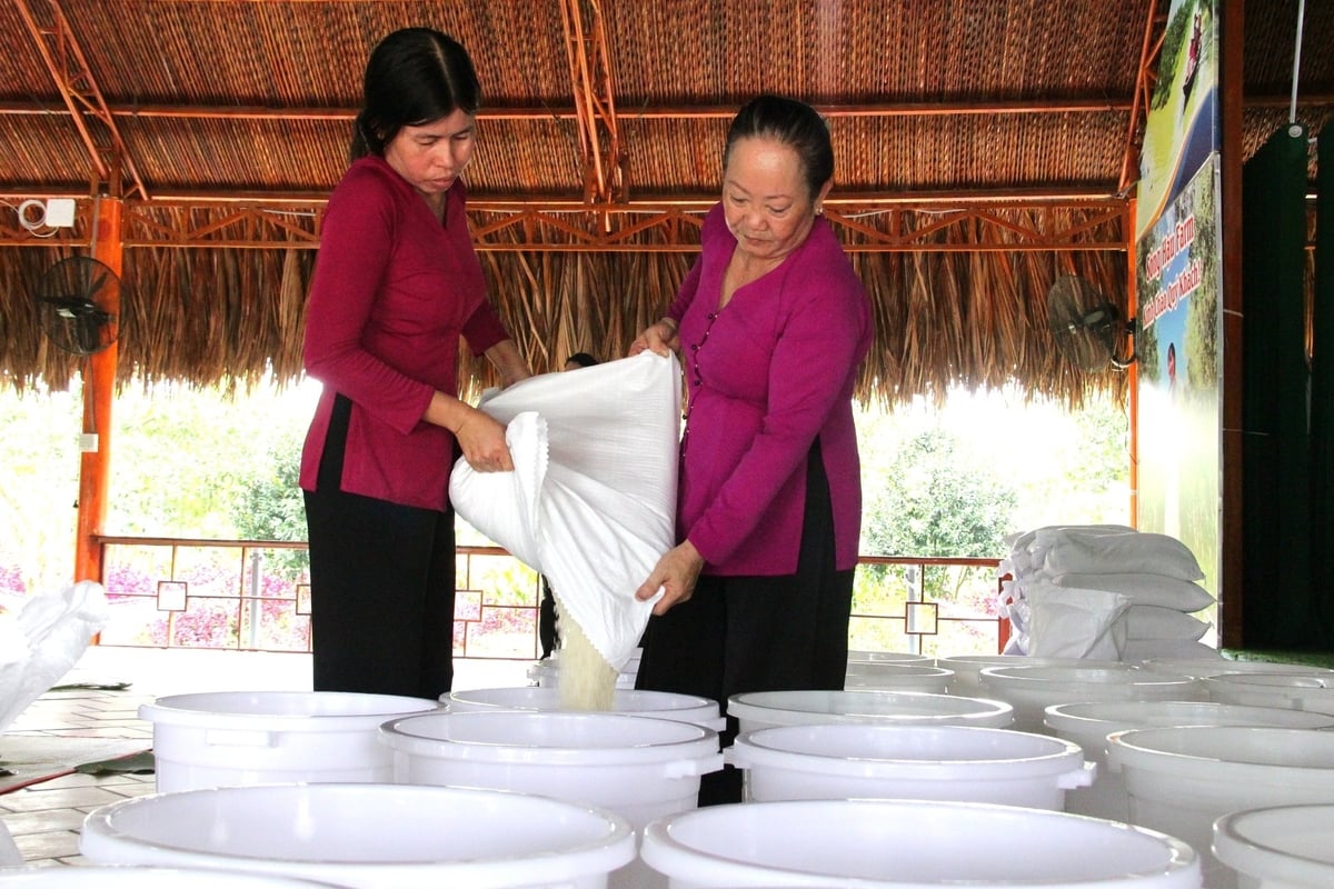 Hầu hết các công đoạn thực hiện chiếc bánh chưng khổng lồ được thực hiện tại Khu du lịch sinh thái Sông Hậu Farm (xã Thới Hưng, huyện Cờ Đỏ, TP Cần Thơ). Ảnh: Kim Anh.