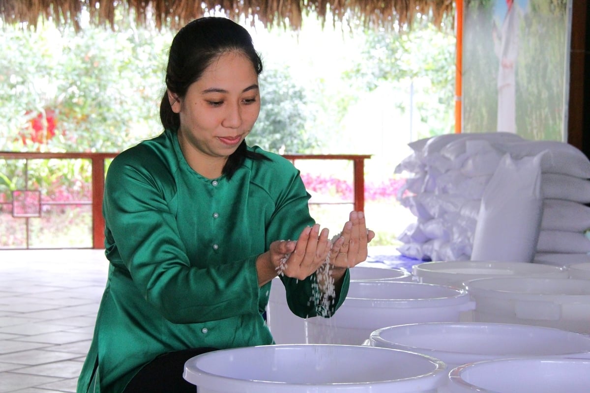 Chiếc bánh chưng khổng lồ được chế biến từ 600kg gạo nếp do chính cư dân tại Nông trường sông Hậu trồng. Ảnh: Kim Anh.