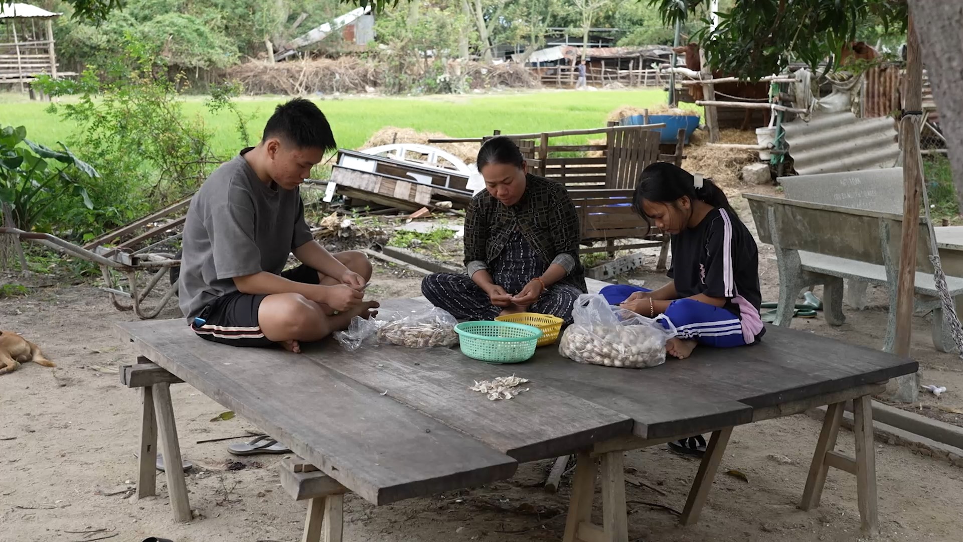 20-nam-nhin-tu-cuoc-chien.jpeg - Vietnam.vn Hơn 10 năm sống nhờ dưới mái chùa, không ai có thể đoán cuộc sống sắp tới đây của 3 mẹ con sẽ ra sao