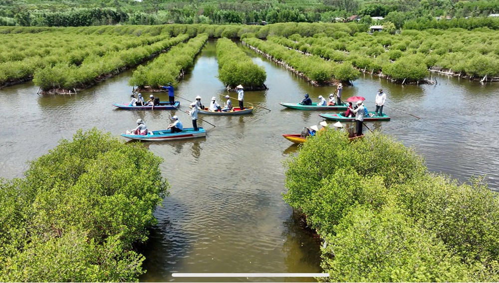 Người “tiếp lửa” tình yêu bài chòi - ảnh 5